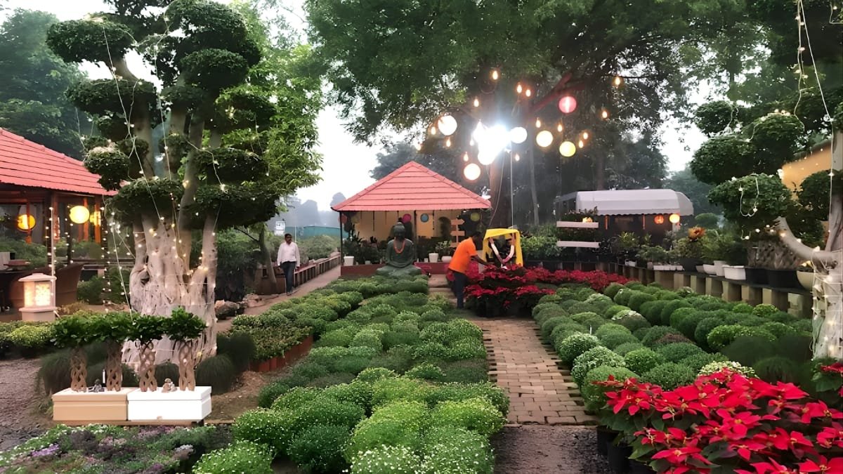 PNN-2026-01-01T111022141